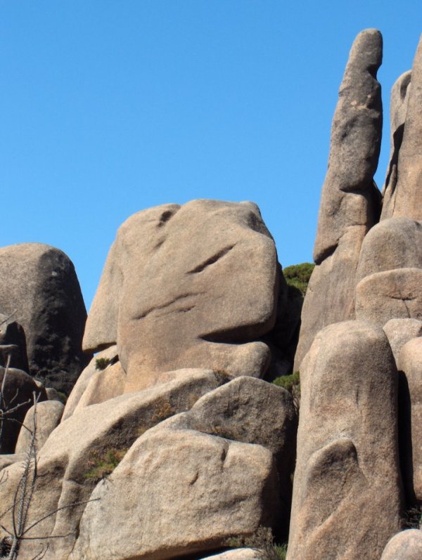 525886_399969613384385_92154725_n