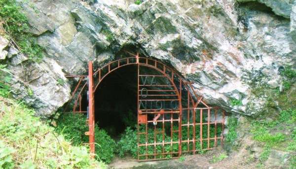 ACOVA DO REY CINTOLO 4