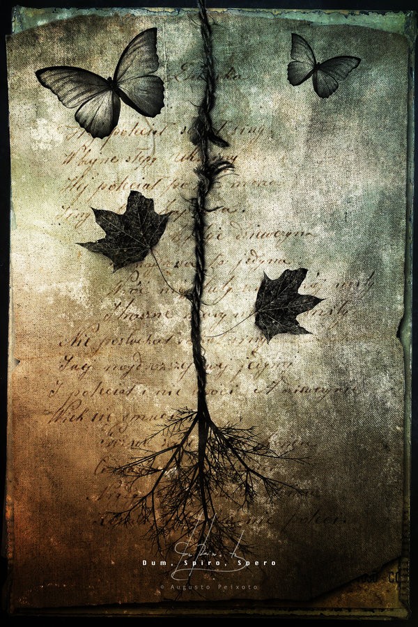 dum__spiro__spero____by_irondoomdesign