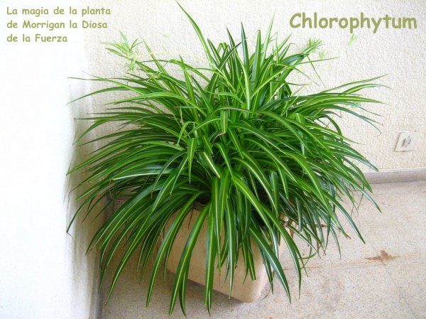 2 am_79225_6627002_369926 copia