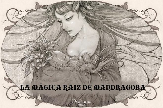 En la Magia Celta la Mandrágora esta considerada una de las plantas mas prodigiosas