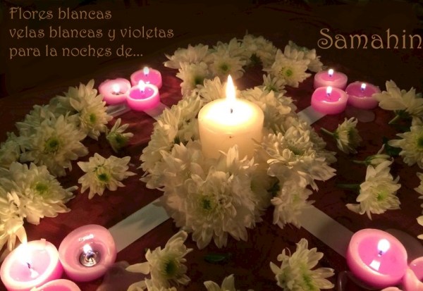 12170189_1185145481501182_132523137_n copia