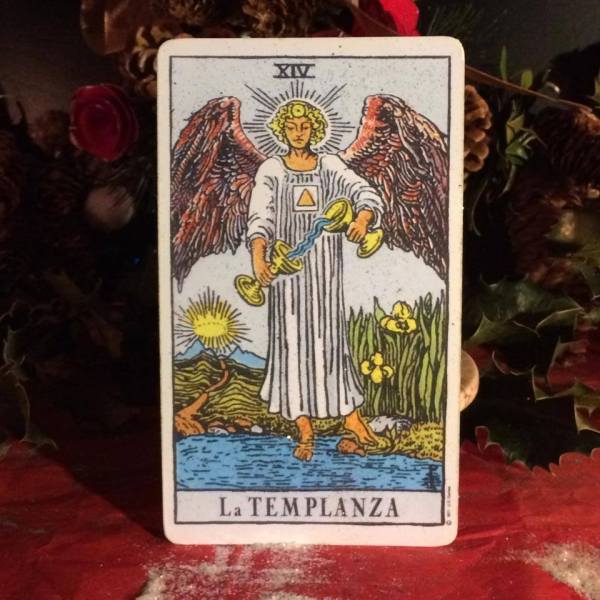 12336351_1203768189638911_644576510_n