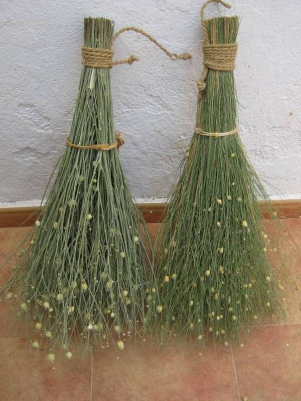 acuario escobas finas y bastas