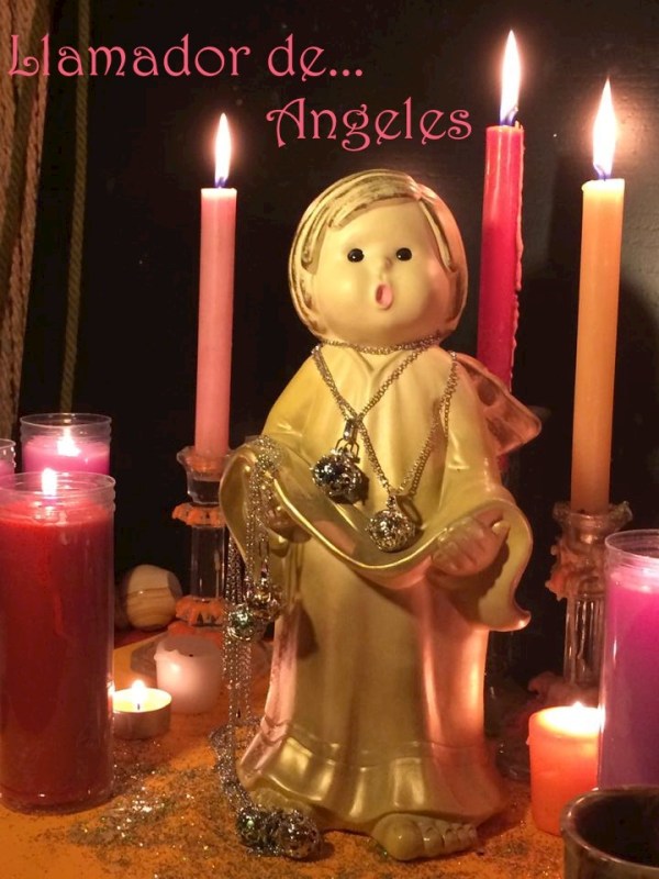 12665661_1251178984897831_838961951_n copia