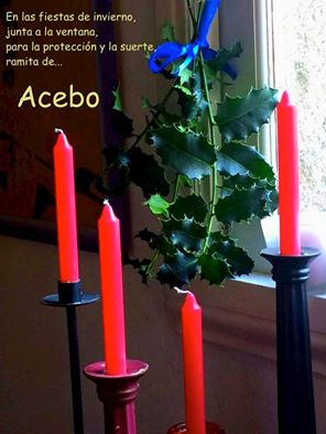 15253617_1851469995098997_8540143953511940331_n