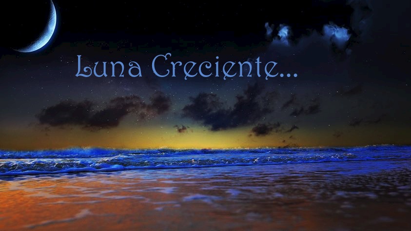 1978359_670604809668033_1894125708013073644_o-copia