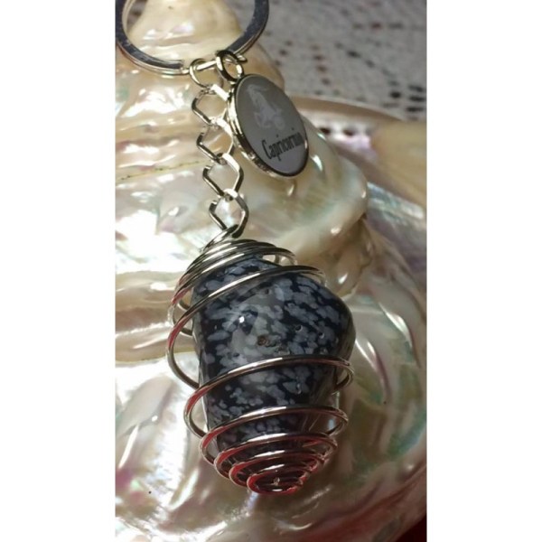 1057-protege-tu-casa-o-tu-coche-con-la-obsidiana-nevada