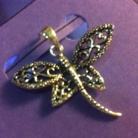 672_libelula-magica-de-la-diosa-aine