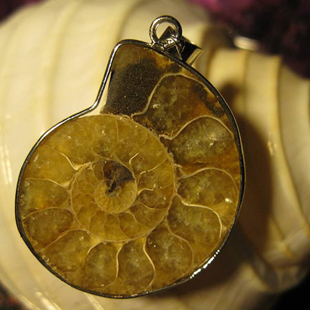 LA-ESPIRAL-MAGICA-DEL-EXITO